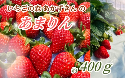 いちごの森あかずきんのあまりん　約400g ／ 果物 フルーツ 苺 イチゴ 甘みが際立ち 酸味の少ない 鮮やか 濃い赤色 可愛い形 埼玉県 特産 No.632