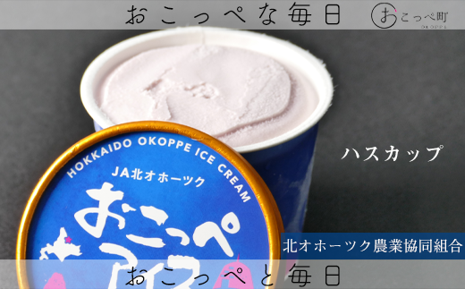 おこっぺアイス30個入り