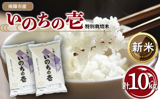 【令和8年産 新米 先行予約】 【金賞受賞農家】 特別栽培米 いのちの壱 計10kg (5kg×2袋) 《令和8年10月中旬～発送》 『あおきライスファーム』 山形南陽産 米 白米 精米 ご飯 農家直送 山形県 南陽市 [2403-R8]