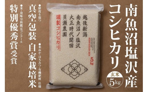 新米予約【令和8年産】「貝瀬農園米」農薬5割減栽培　南魚沼塩沢産コシヒカリ　玄米5kg【2026年10月上旬から1ヶ月以内に順次発送予定】