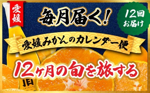 ＜発送月固定定期便＞毎月届く!みかんのカレンダー便　～12ヶ月の旬を旅する～＜H31-62＞全12回【4074244】 YWTAC051