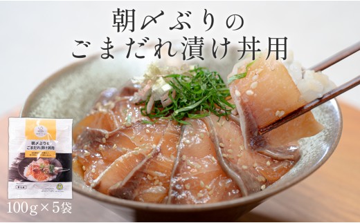 朝〆ぶり ごまだれ漬け丼用 100g×5袋 養殖 ブリ 鰤 海鮮 小分け 冷凍 簡単調理 新鮮 海鮮丼 家庭用 晩酌 高知県産 産地直送 おすすめ 人気 贈答 配達日指定可 高知県 大月町 うみのファーム