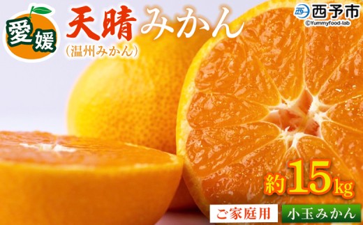 ＜愛媛県明浜産 天晴みかん（温州みかん）約15kg 小玉サイズ＞ 家庭用 訳あり ワケアリ 果物 くだもの フルーツ ミカン 柑橘 特産品 笑丸 愛媛県 西予市【常温】『2026年11月中旬～2027年1月上旬迄に順次出荷予定』