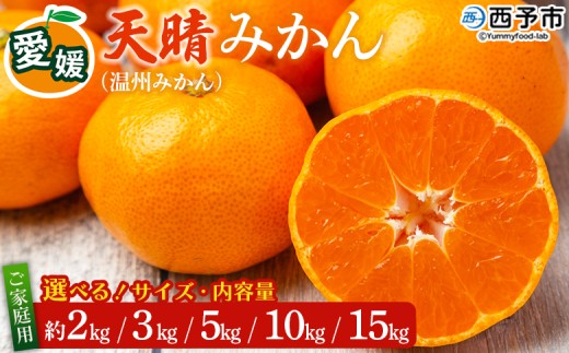 ＜愛媛県明浜産 天晴みかん（温州みかん）約2kg／3kg／5kg／10kg／15kg 小玉サイズ/S～L混合＞ 選べる 家庭用 訳あり ワケアリ 果物 くだもの フルーツ ミカン 柑橘 特産品 笑丸 愛媛県 西予市【常温】『2026年11月中旬～2027年1月上旬迄に順次出荷予定』