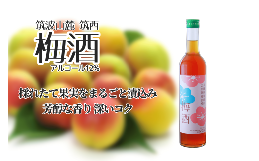 梅酒 アルコール 12％ （ 500ml × 1本 ） 果実酒 お酒 酒 梅 うめ ウメ 