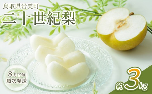 【先行予約】中野農園 梨 ”二十世紀梨” 3kg箱｜鳥取 岩美 梨 なし ナシ 20世紀梨 青梨 果物 フルーツ ※お届けは2026年8月下旬頃～【41025】 2093423 - 鳥取県岩美町