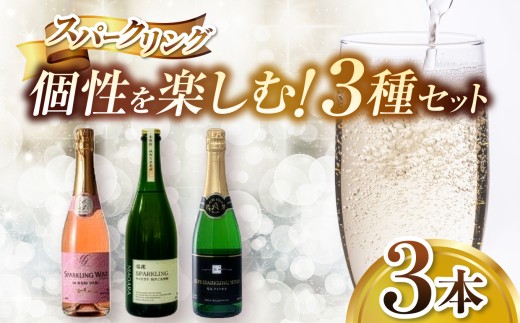 週末に楽しむ 大人の飲み比べ体験 個性を楽しむ塩尻スパークリング3選 | ワイン わいん ワイン スパークリングワイン お酒 おさけ 酒 さけ メルロ ロゼ ナイアガラ 五一わいん 林農園 アルプス 信濃ワイン 塩尻市 長野県 信州