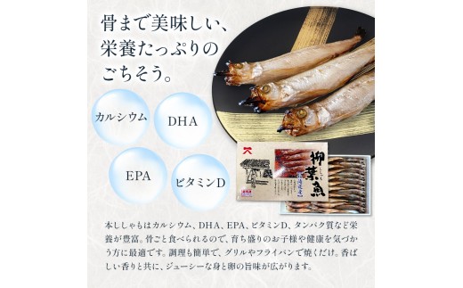 北海道日高町のふるさと納税 北海道産 ししゃも M30尾Cセット（オス20尾 メス10尾） 有限会社阿部水産《14日以内に出荷予定》北海道 日高町 国産 魚 シシャモ 魚介 海鮮 グルメ 食べ物