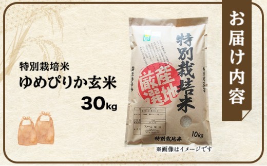 北海道岩見沢市のふるさと納税 【玄米】《令和 7 年産》お米 ゆめぴりか玄米 30kg(30kg×1袋)｜米 北 海道 岩見沢市 ファーム坂口の特別栽培米
