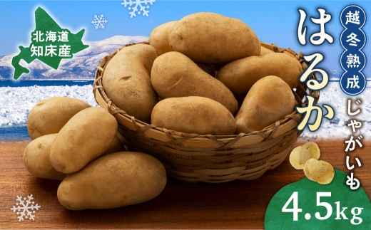 北海道しれとこ越冬熟成じゃがいも はるか 4.5kg　