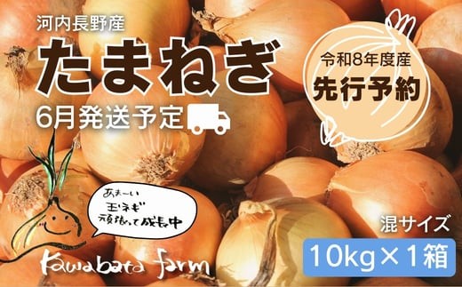 【令和8年度産玉ねぎ先行予約】玉ねぎ 10kg×1箱 ※6月より発送予定 混サイズ 玉ねぎ たまねぎ タマネギ 玉葱 カレー シチュー 肉じゃが スープ サラダ 人気 大阪 河内長野 kawabata farm 料理 送料無料 先行予約 国産 エコ農産物 甘い玉ねぎ 野菜 食育 安心 安全