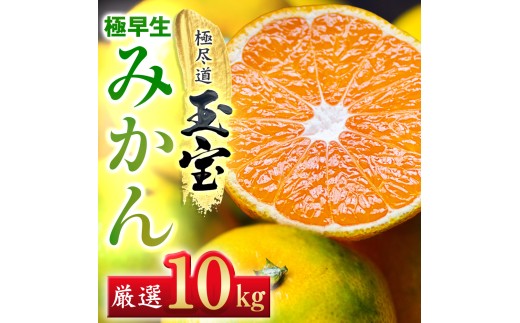 ＜愛媛名産＞極早生みかん＜雫・・小玉＞ 10kg＜F64-24＞【1510680】 YWTY013