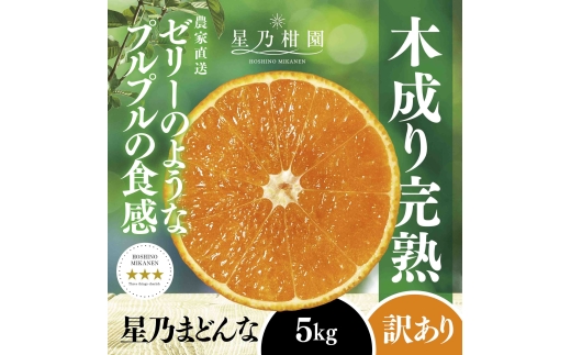 ＜三つ星ブランド＞【訳あり】2024年先行受付 星乃みかん園の 星乃まどんな(5kg)【D45-62】_みかん ミカン マドンナ 紅まどんな同品種 柑橘 柑橘類 フルーツ 果物 くだもの 人気 美味しい 愛媛県 八幡浜 ふるさと 訳あり【1339328】 YWTAZ025