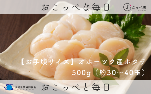 【お手頃サイズ】オホーツク産ホタテ玉冷500g（約30～40玉入り）【21037】