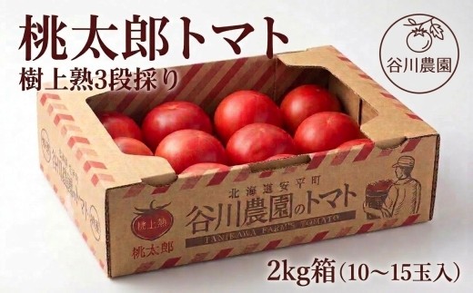 ＜先行予約＞樹上熟3段採り 桃太郎トマト / 正品2kg箱(10～15玉入)【1472504】