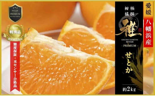 極撰柑橘＜雅プレミアム＞糖度保証・光センサー合格品「 せとか 」約2キロ＜D39-62＞_みかん ミカン 柑橘 せとか フルーツ くだもの 果物 ふるーつ 青果 果実 人気 甘い ジューシー 産直 産地直送 旬 柑橘類 人気 愛媛 果汁 八幡浜市 光センサー 【1614238】 YWTF037