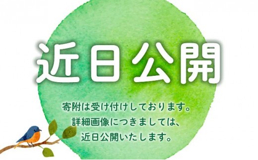 ＜選べる容量＞うちのめんたい 切子込 300g/400g【やまや】