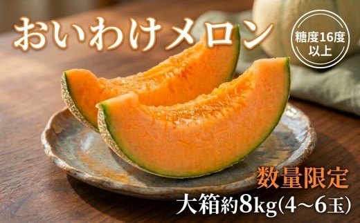 ＜数量限定＞おいわけメロンパック 糖度16度以上 大箱約8kg(4～6玉)_ メロン めろん 赤肉 赤肉メロン おいわけメロン 追分 数量限定 北海道 果物 くだもの フルーツ デザート 甘い 糖度 贈答 ギフト プレゼント 国産 産直 産地直送 送料無料 【1226767】