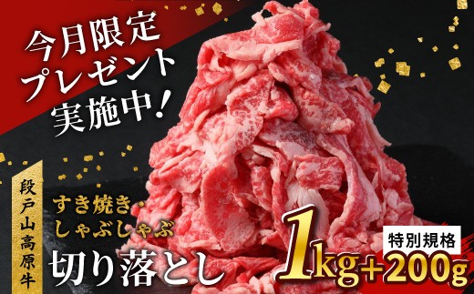 特別規格★延長【2026年4月発送！】国産ブランド牛 切り落とし 1.2Ｋｇ (200g×6） 小分け 段戸山高原牛 幻 牛 国産 牛肉 牛 スライス 地域 限定 小分け 大満足 赤身 肉 数量限定 肉 牛肉切り落とし 牛切り落とし 国産牛 ブランド牛 10000円 10,000円 -039