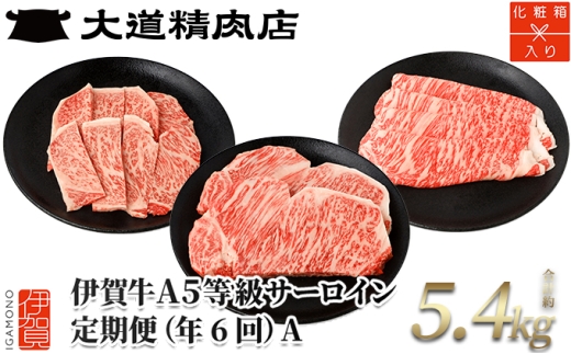 【年6回】伊賀牛 A5サーロイン 定期便コースA 総合計約5.4kg【dido-tkb0009】