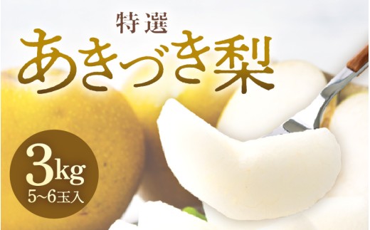 【先行予約】《数量限定》あきづき梨 3kg 特選 5玉～6玉入り もぎたて 新鮮 ※2026年9月中旬より順次発送予定 [aw042-a005]