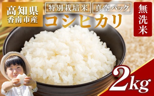 【日時指定可能】無洗米 コシヒカリ 2kg 特別栽培米  無洗米 白米 真空パック 令和7年産 国産 米 お米 kome おこめ ２キロ こしひかり コシヒカリ ごはん おにぎり ムセンマイ コシヒカリ 防災 無洗米 非常食 食卓 家庭 贈り物 5000円以上 5,000円以上 10000円以上 10,000円以上 1万円以上 常温 nu-0001