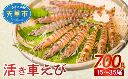 【鮮度抜群】厳選・幸福堂の活き車えび(700g)_S005-002-sku