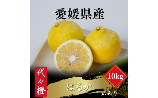 ＜爽やかな甘さ＞＜訳あり＞はるか 10kg＜F83-46＞【1625108】 YWTW046