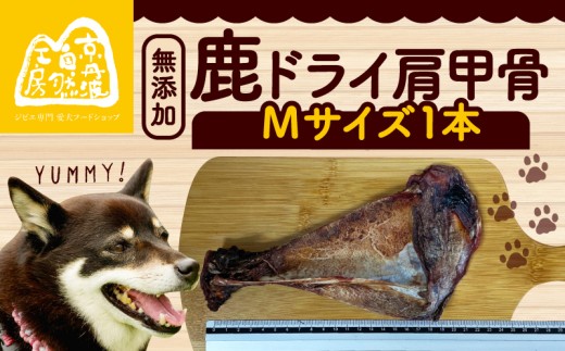 鹿ドライ肩甲骨Mサイズ（20〜22㎝）1本 ペット用品 ペットグッズ ペットフード ドッグフード 無添加 肩甲骨 ボーン 歯 健康 国産 ストレス解消 ジビエ 鹿 鹿肉 わんちゃん ペット用品 犬用 ご褒美 おやつ 超小型犬 大型犬 中型犬 犬 イヌ いぬ 京都府 京丹波町