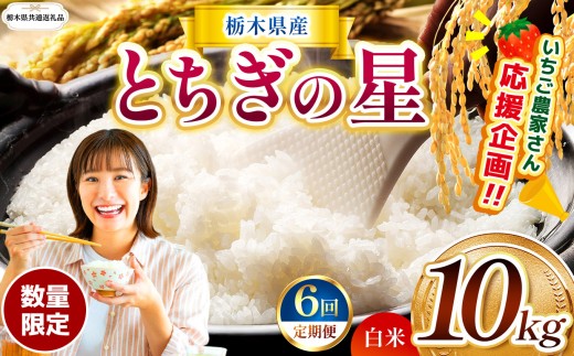 【栃木県共通返礼品】【先行予約】【定期6回】  訳あり 数量 限定 定期便 令和8年度産 とちぎの星 約 10kg| とちぎの星  白米 ごはん おいしい 品種 お米 米 おにぎり  ふるさと納税 那珂川町 栃木県