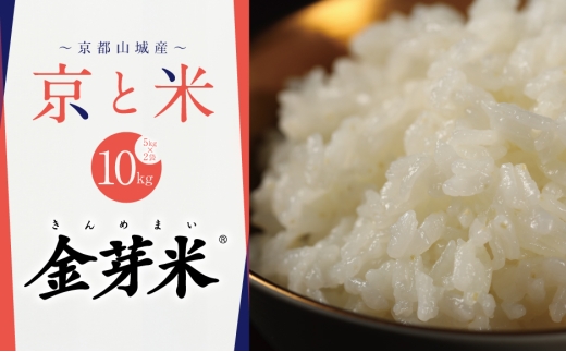 BG無洗米 京都山城産 京と米 金芽米 10kg R7年度産 ヒノヒカリ お米 米 ごはん おにぎり おいしい お弁当 健康 玄米の栄養 無洗米 節水 時短 東洋ライス 京都府 京田辺市 2579266 - 京都府京田辺市