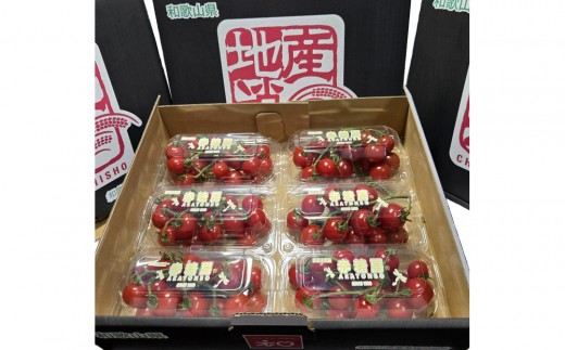 赤糖房（ミニトマト）【160ｇ×6パック】