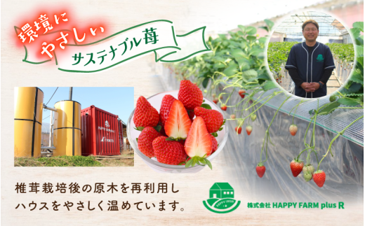 環境にやさしい。安心して選べる、真庭のいちご！椎茸栽培後の原木を再利用しハウスをやさしく温めています。