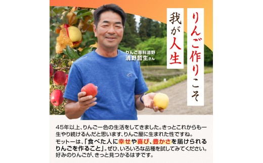 《先行受付》贈答規格 旬のりんご詰合せ約3kg（サンふじ確約3種以上）特秀～秀 大江町産【2026年12月上旬頃～発送予定】