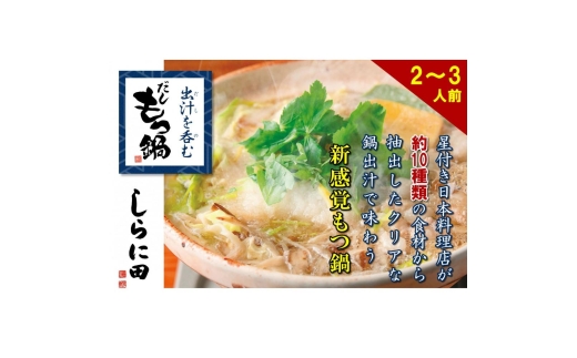 【福岡市】しらに田のだしもつ鍋（2～3人前）