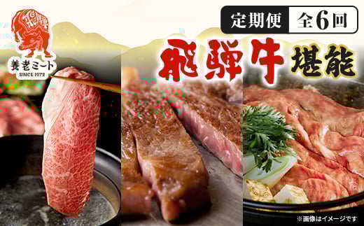 ＜毎月定期便＞月替わりで色々な飛騨牛を楽しめる全6回【4051414】