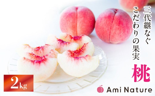 【2026年発送★先行予約】やまなし旬の果実 笛吹の朝採り桃 2.0kg 065-018-26y｜ もも 桃 発送 アミナチュール 山梨 笛吹市 一宮町 桃 ピーチ 果物 フルーツ 人気 新鮮 旬 発送 固い 2キロ 国産 贈答 ギフト くだもの もも 笛吹市 桃 もも 山梨県笛吹市 果物 ピーチ 化粧箱入り 化粧箱 山梨県 モモ 先行 山梨県笛吹市 2kg 大玉｜