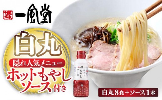 ラー麦使用「一風堂」とんこつラーメン 白丸（ホットもやしソース付き）8食|博多ラーメン 豚骨ラーメン とんこつラーメン 豚骨スープ 豚骨 麺 らーめん 送料無料 福岡県 那珂川市 2571096 - 福岡県那珂川市