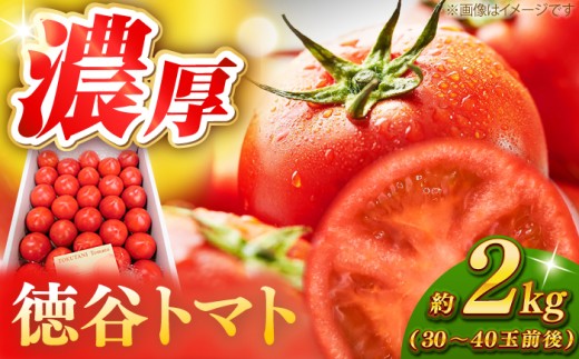 濃厚！徳谷トマト約2.0kg 箱詰 生産者指定なし 厳選上級品 元木青果 〈2026年6月中旬頃まで発送〉 / とまと  高知 フルーツ 果物 高知【グレイジア株式会社】[ATAC323]