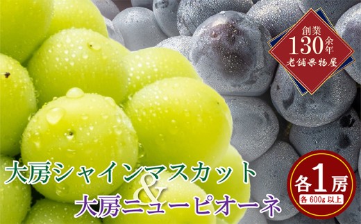 大房 シャインマスカット＆ニューピオーネ 各1房 ( 各約600g ) マスカット ピオーネ ぶどう 葡萄 ブドウ フルーツ 果物 くだもの 高級 デザート スイーツ ケーキ ゼリー ジュース アイス 国産 ふるさと納税マスカット ふるさと納税ぶどう くだもの畑 PonPon