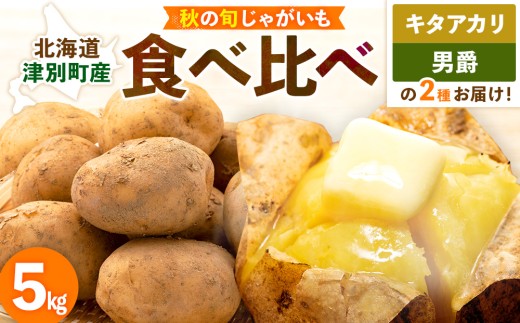 【先行予約】秋の旬 じゃがいも2種食べ比べ 5kg ピンクの八百屋〜ナツやさい〜  | 北海道津別町