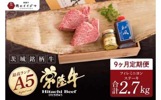 9ヶ月 定期便 希少部位肉 常陸牛A5 フィレミニヨンステーキ 150g×2枚 × 9回 ＜木箱入り・特製タレ／マスタード付き＞ ヒレステーキ プレゼント 誕生日 食べ物 上質 ギフト対応【肉のイイジマ】（DU-163）