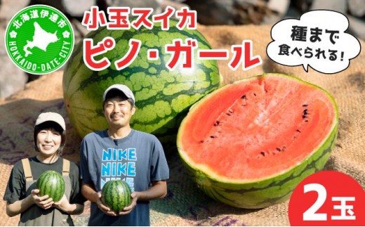 ＜先行予約＞北海道伊達産 小玉スイカ "ピノ・ガール" 【tom-001】 2566459 - 北海道伊達市