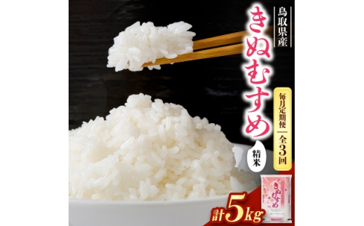 ＜毎月定期便＞＜食味鑑定士厳選＞鳥取県産 きぬむすめ5kg(5kg×1袋) 精米全3回【4083765】