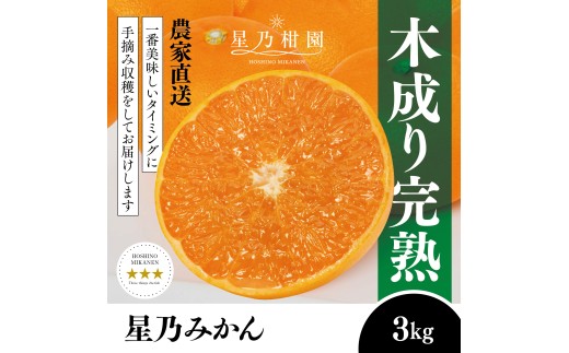 ＜三つ星ブランド＞星乃みかん(3kg)＜A45-96＞【1625777】 YWTAZ058 2585091 - 愛媛県八幡浜市