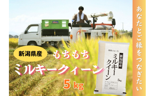 新潟県阿賀野市産 ミルキークィーン 5kg 圓縁ふぁーむ 白米 精米 米 こめ コメ 3D15015 
