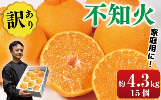 訳あり 不知火 約4.3kg 15個入り しらぬい みかん 蜜柑 果物 フルーツ 柑橘 オレンジ ゼリー ジュース アイス ケーキ デザート スイーツ ジャム 糖度 甘い 不揃い 規格外 ビタミン 美容 健康 送料無料 徳島県 阿波市 サトウ農園