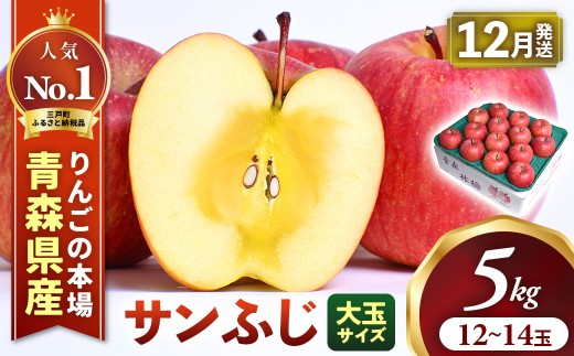 りんご【サンふじ】約5kg（12～14玉・大玉サイズ）【2026年産・先行予約】★2026年12月上旬～12月中旬頃発送予定★ 青森県三戸町産 アップル 林檎 フルーツ 果物 果実 青森県産 三戸 贈答 ギフト プレゼント 産地直送 農家直送 送料無料  青森県三戸町 AK-25-077