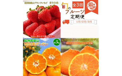 【発送月固定定期便】紀州和歌山産旬のフルーツセット(いちご4P・ポンカン・紀州デコ約5kg)全3回 【tkb450】 2587586 - 和歌山県古座川町