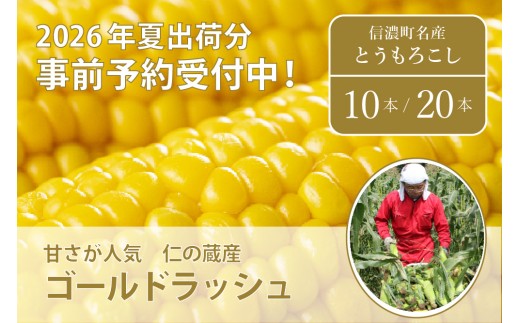 仁の蔵『ゴールドラッシュ』10本セット/ 20本セット　2026年夏の予約受付開始！　長野県信濃町産とうもろこし ／スイートコーンの人気品種｜ 令和8年7月下旬～8月中旬随時出荷【長野県信濃町ふるさと納税】
